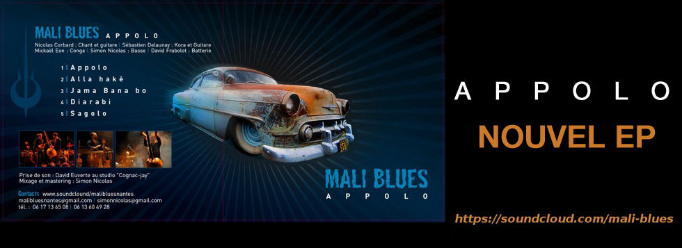 MALIBLUES - afro-beat, musique traditionnelle du Mali